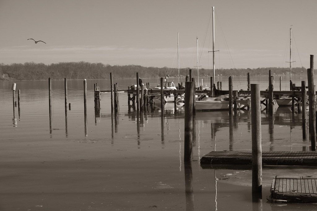 Belle Haven Marina, Alexandria, Virginia Bill Walderman Flickr