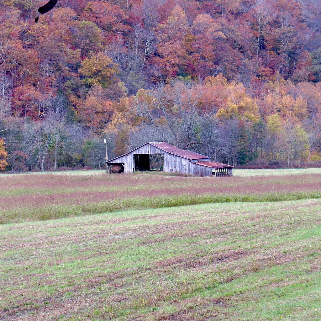 Boxley Valley Newton Co AR 2018 Old barn taken from a diff… Flickr