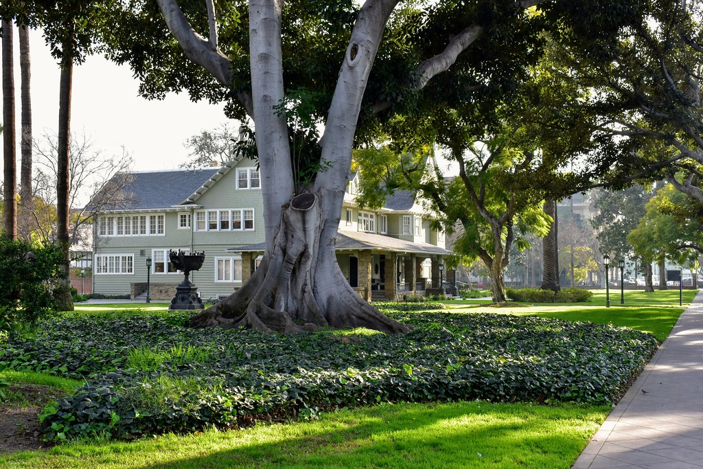 Mount St Marys University Christmas Concert 2024 Seattle Mount Saint Mary's University in Los Angeles. Paul Wright Flickr