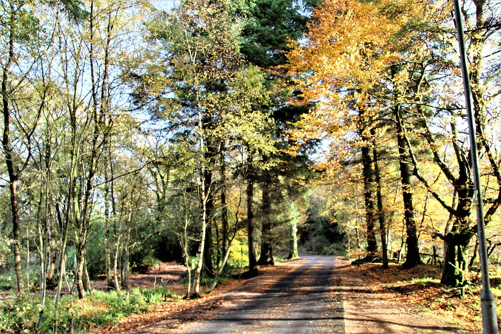 IMG_8432 Calderglen Park East Kilbride Ian Duncan Flickr