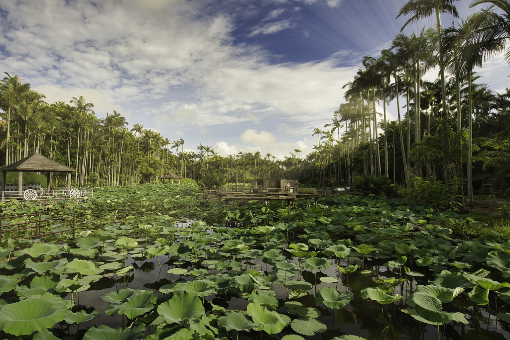 A farm in Okinawa at Sunset A farm in Okinawa during Sunse… Flickr