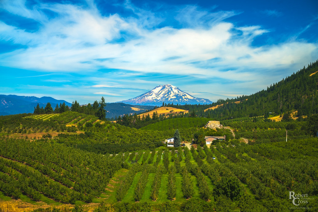 Mt. Adams & the Hood River Valley Looking across the pear … Flickr