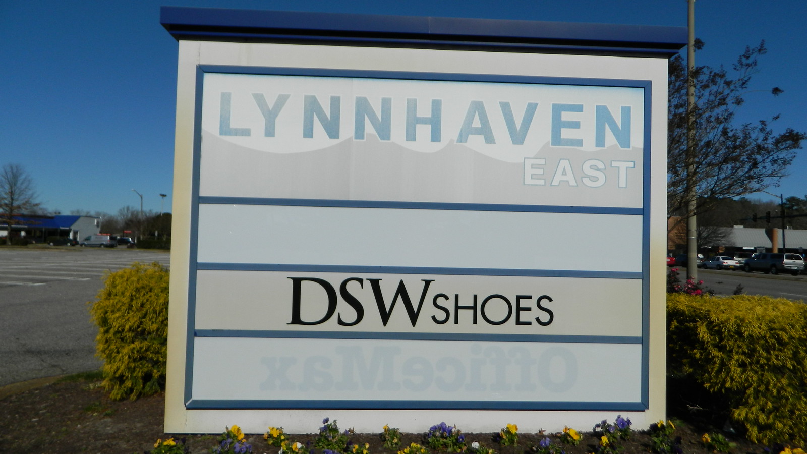 DSW Designer Shoe Warehouse (closed)/Spirit Halloween Virginia Beach
