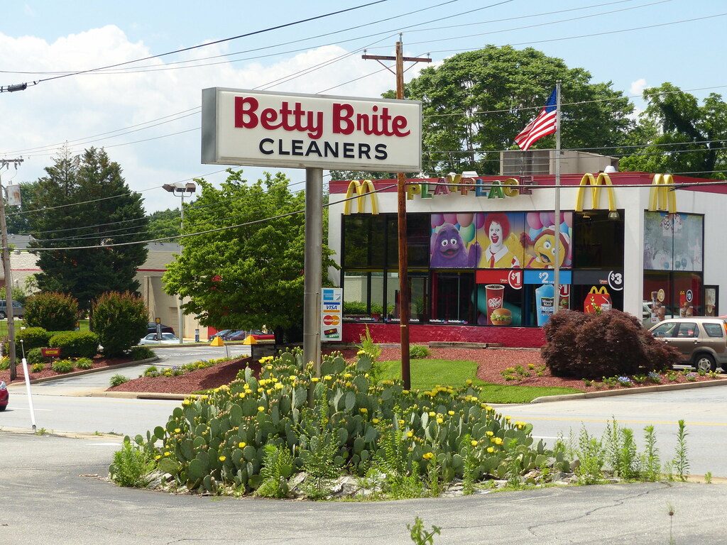 huge cactus plant at former Betty Brite Cleaner Kipp Teague Flickr