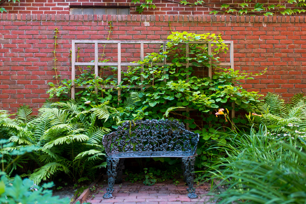 Summer in the Longfellow House Garden 2 Bench Corey Templeton Flickr