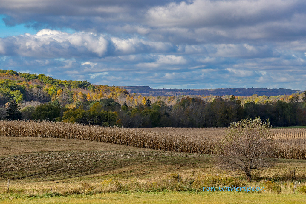 ef4 East Otto, NY 2018 Ron Witherspoon Flickr