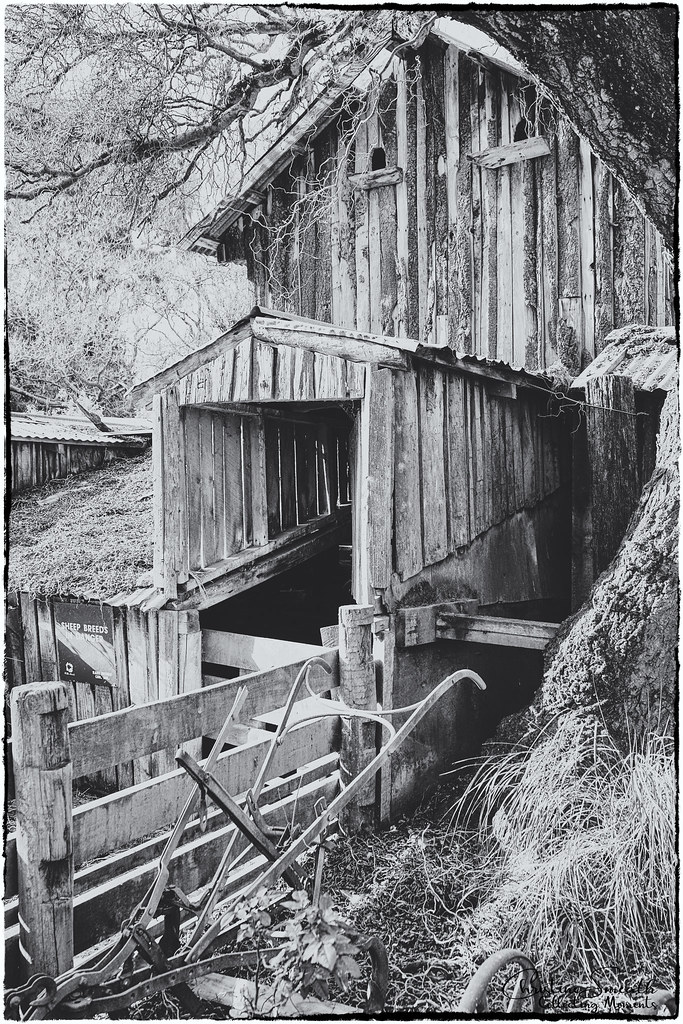 Willowbank Willowbank Wildlife Reserve is a wildlife park … Flickr