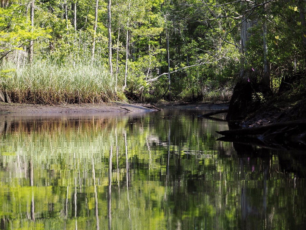 to the Waccassassa River On weekends, when popular… Flickr