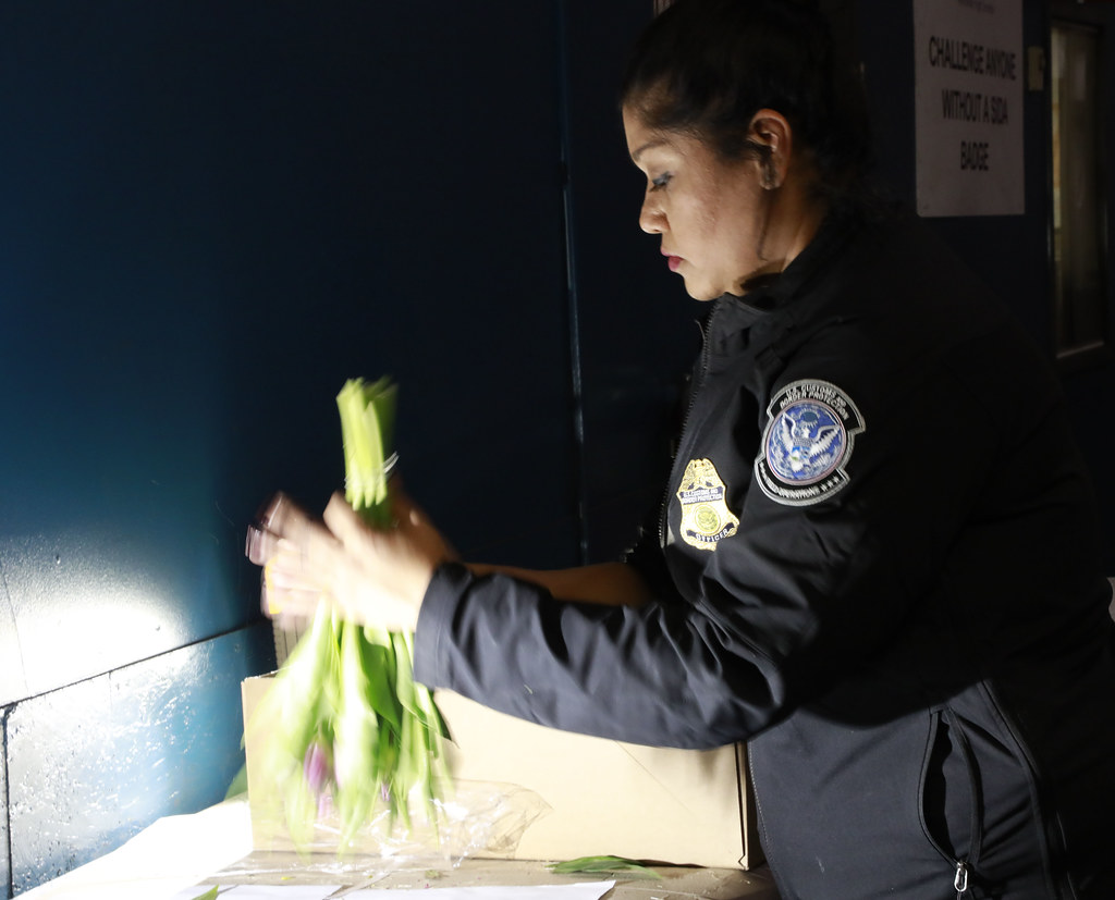 CBP Inspects Cut flowers Dulles International Airport Flickr