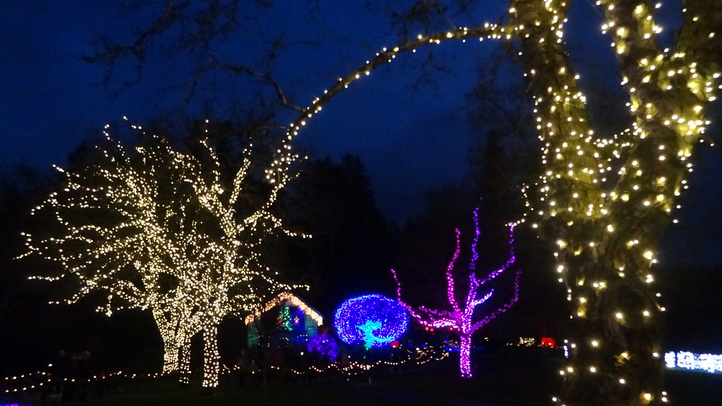 Christmas Lights Everywhere, Butchart Gardens, Brentwood B… Flickr