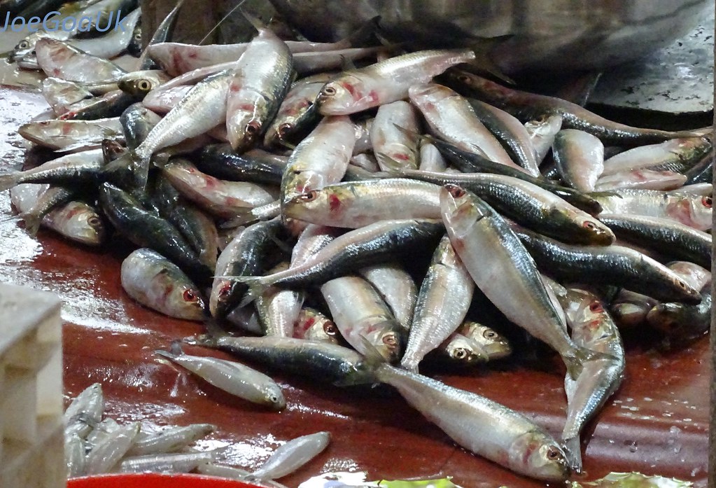 Sardines Rs.160 per kg During Fishing ban period June/July… Flickr