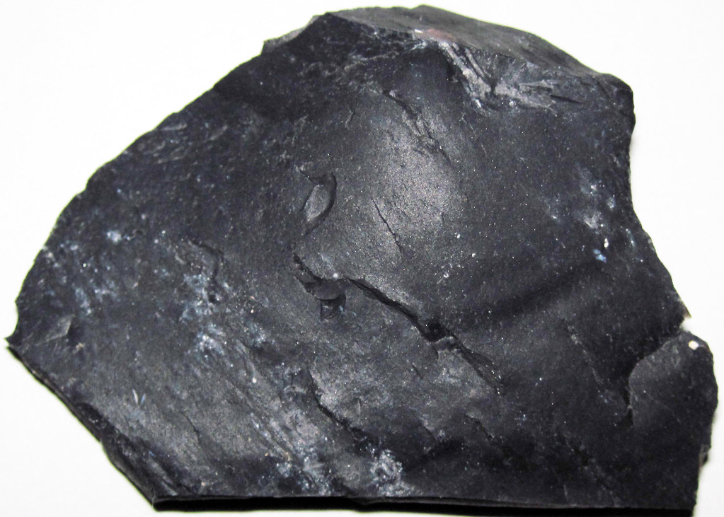 Zaleski Flint (Middle Pennsylvanian; west of Creola, north… Flickr