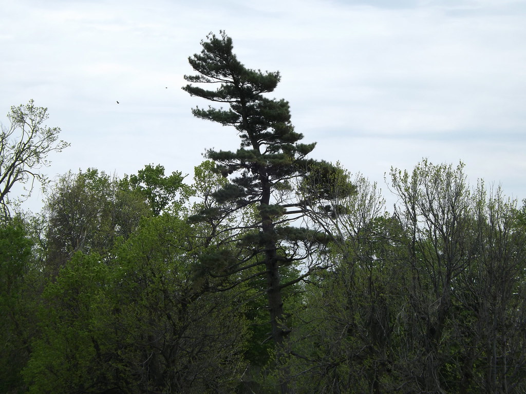 groupofseventree_8751656288_o Onesharp Flickr