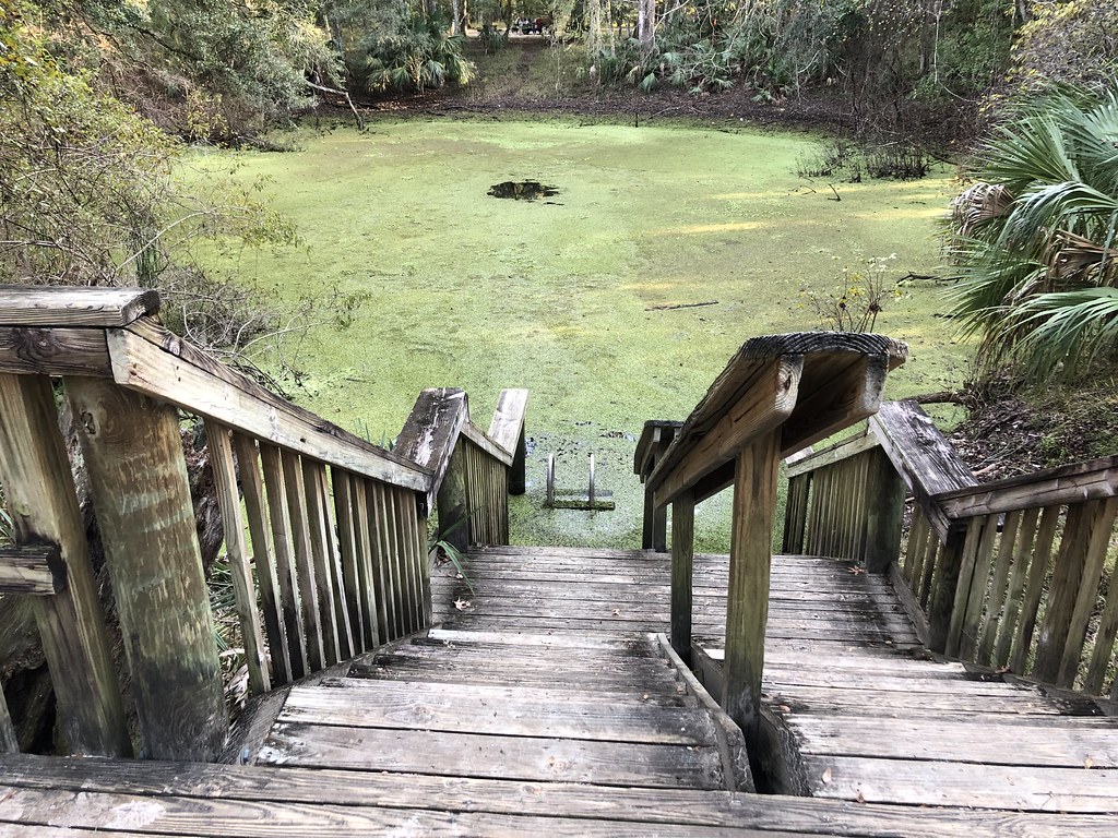 Catfish Hotel Manatee Springs State Park Chiefland, Florid… Todd