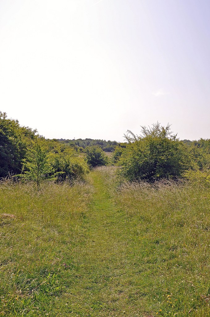 33631 Greetwell Hollow a Lincolnshire Wildlife Trust natur… Flickr