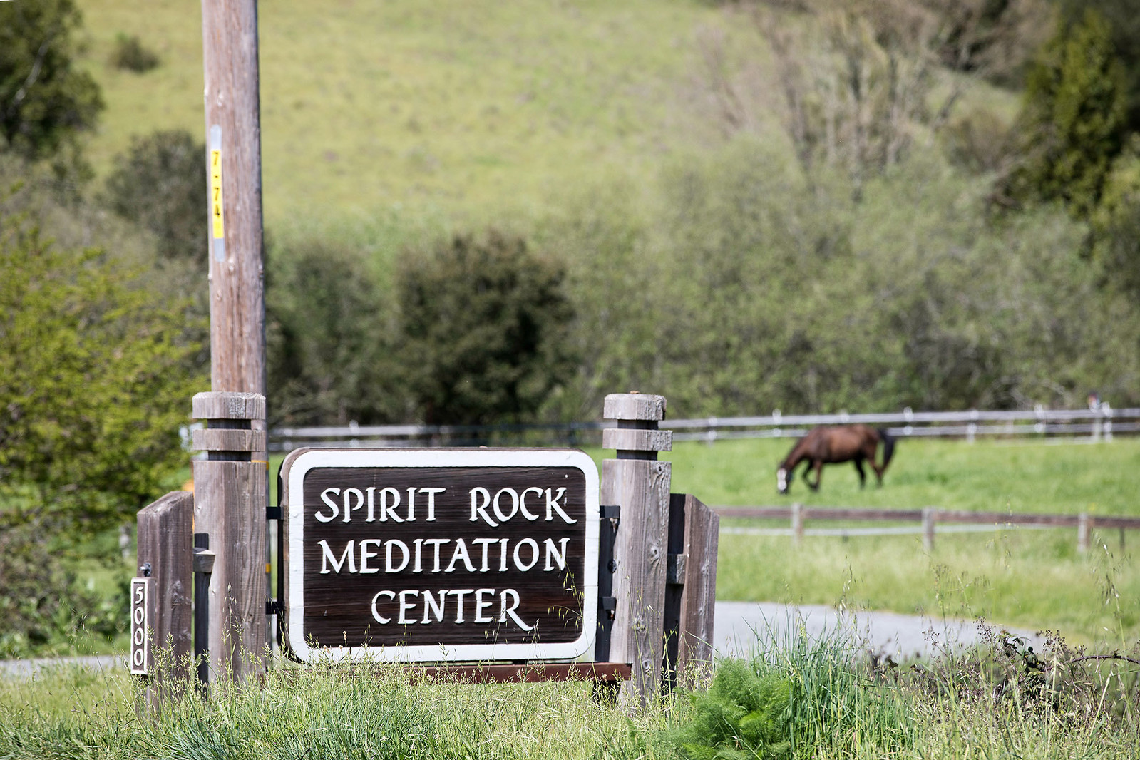 199 Central Avenue, Woodacre Presented by Sarah Kowalczyk & Lotte Moore