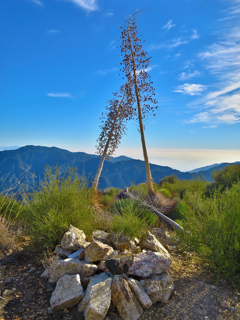 Elevation of Alameda St, Altadena, CA, USA Topographic Map Altitude Map