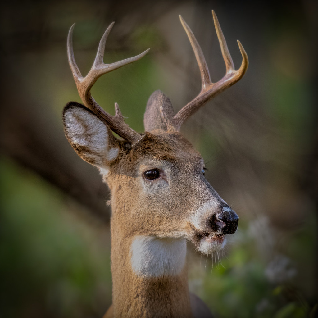 Elevation of Willowdale, Cherry Hill, NJ, USA Topographic Map Altitude Map