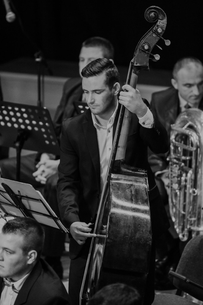 World and TAMBURA 2018. The World and TAMBURA festival p… Flickr