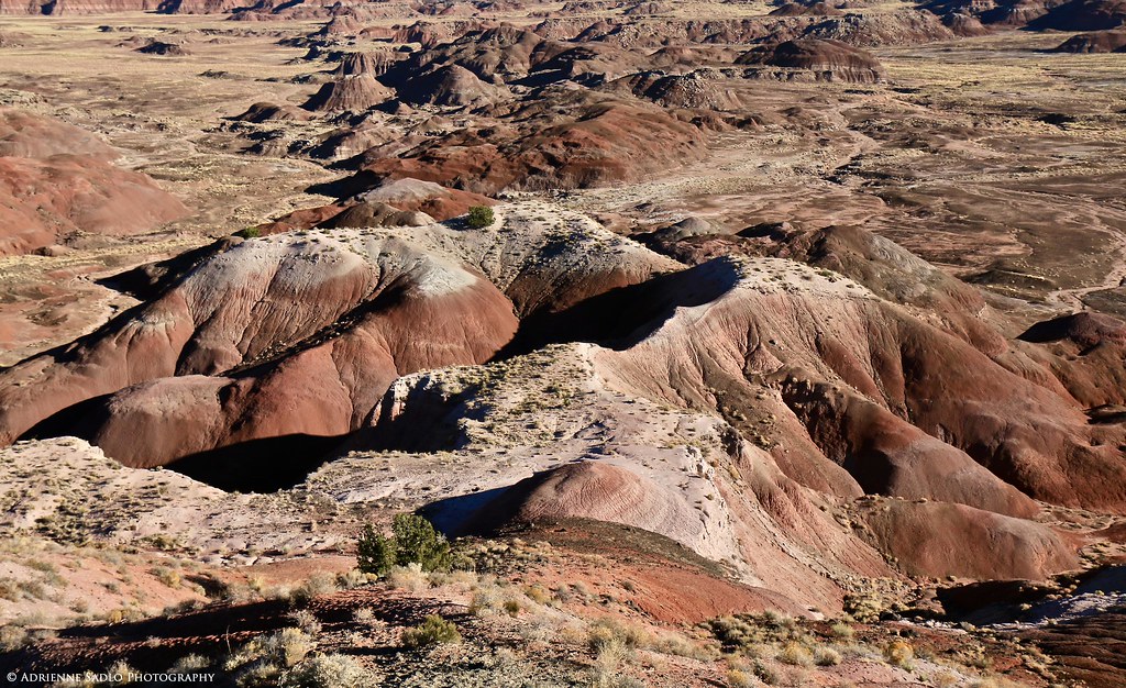Petrified Forest National Park Kachina Point Adrienne S Flickr