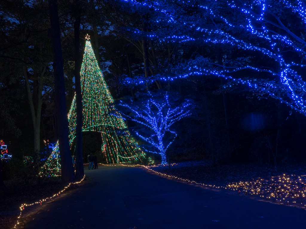 Norfolk Botanical Garden Million Bulb Walk Flickr