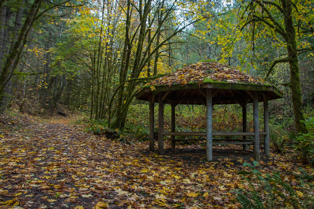 Beazell Memorial Forest Willamette Valley Oregon Flickr