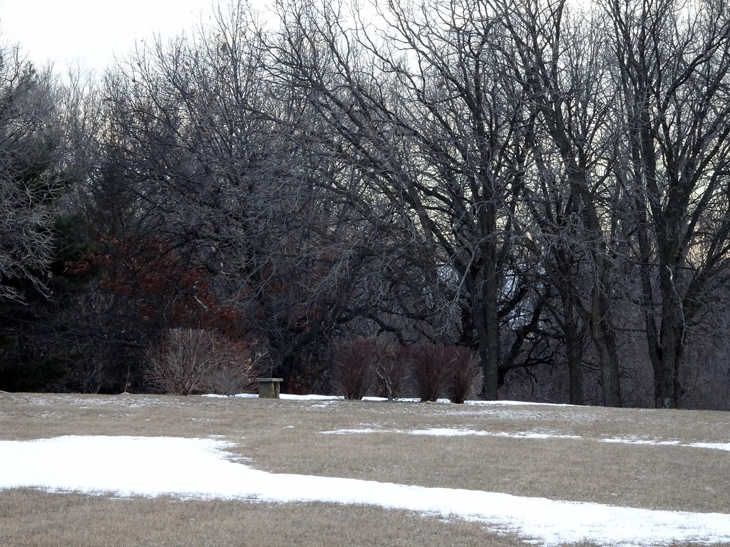 Anoka, MN State Hospital Cemetery PHD280 Flickr