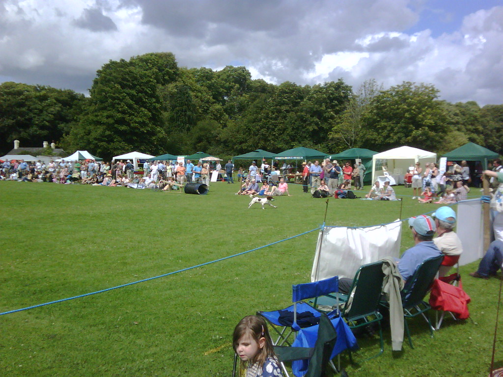 Damerham Fair and Horticultural Society Show, The Sportsfield, Damerham