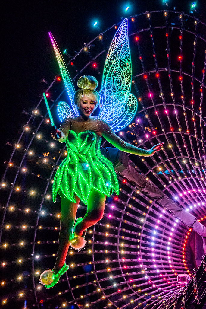 Tinkerbell Paint the Night DCA _DSC1010 Landis Flickr