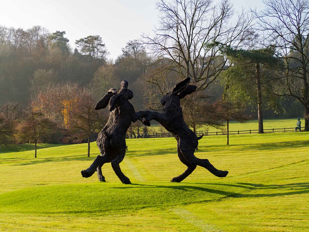 Boxing hares, Mundaydean Lane Flickr