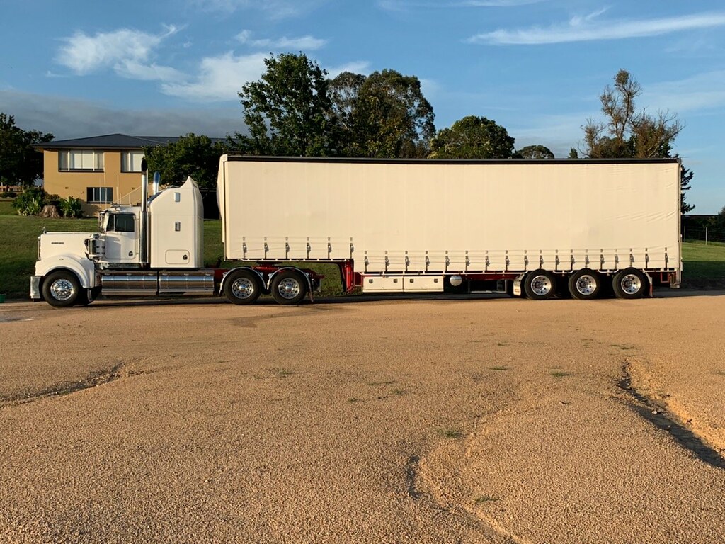 Carpet heads 900 ,,,NMP Paul Flickr