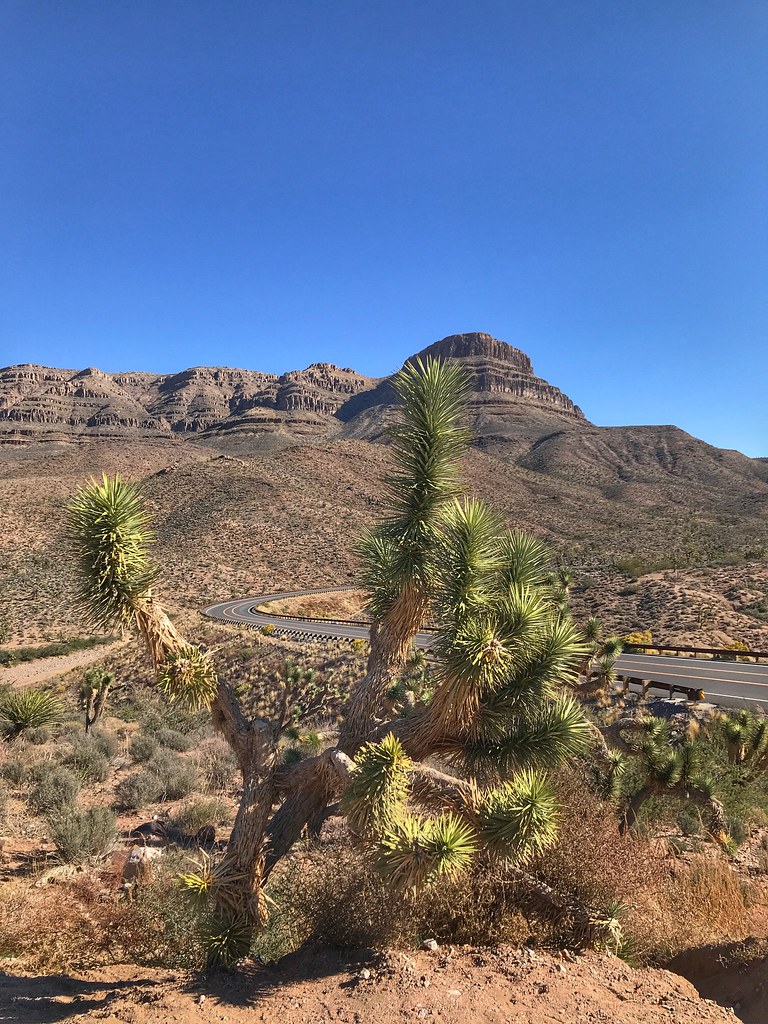 Elevation of Andrus Ln, Meadview, AZ, USA Topographic Map Altitude Map