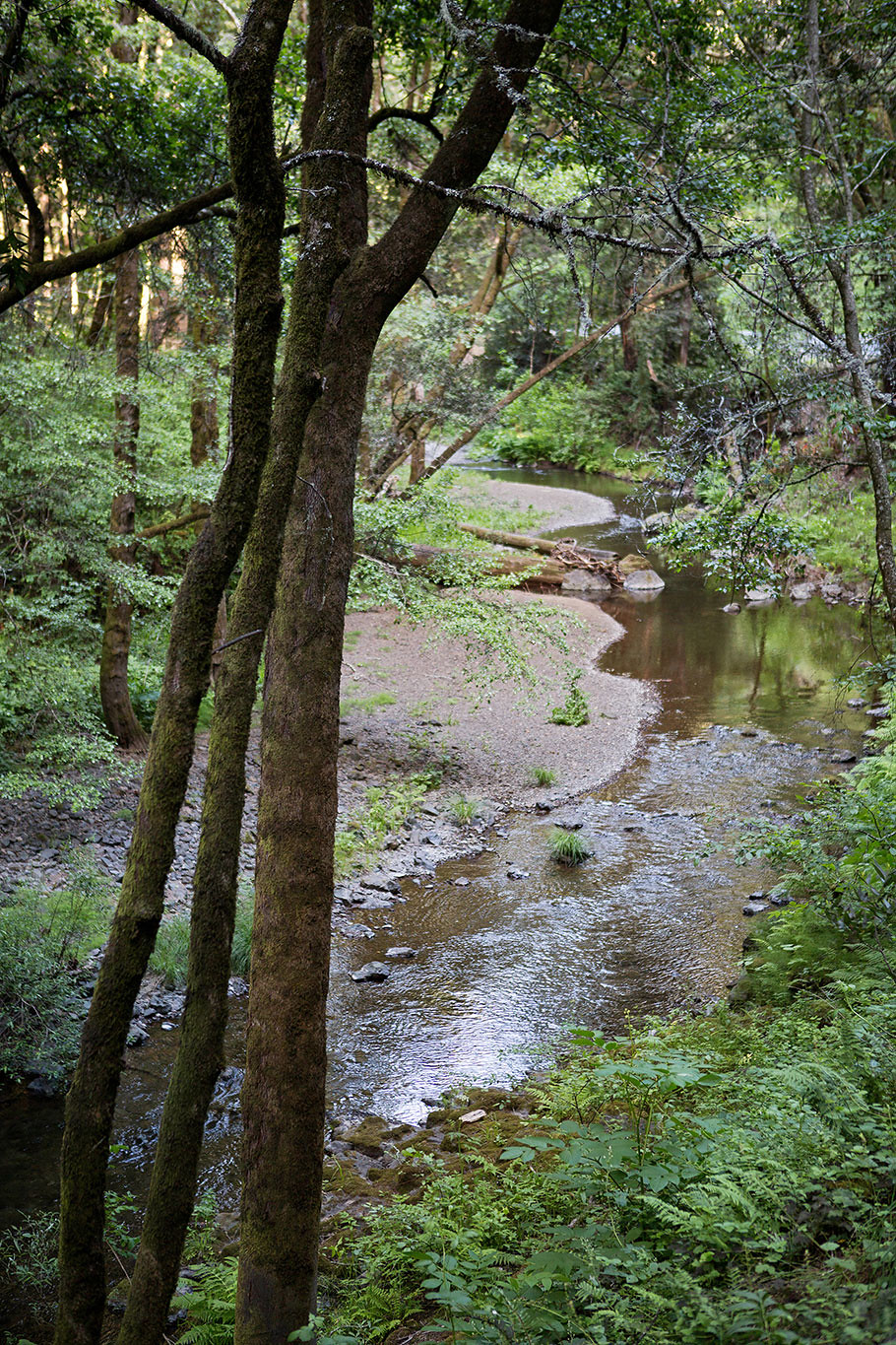 199 Central Avenue, Woodacre Presented by Sarah Kowalczyk & Lotte Moore