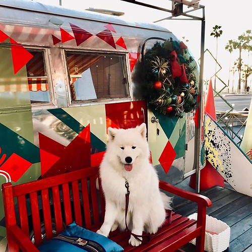 Merry Christmas from olliecaffeluxxe and our barista fami… Flickr