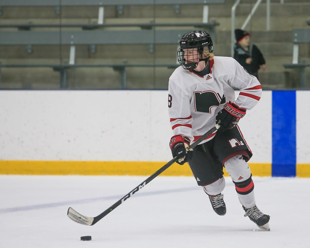 _MG_07142.jpg Lakeville North vs. Stillwater, Hockey For … Flickr