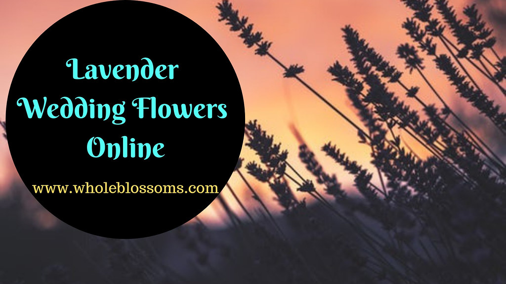 Buy Aromatic Lavender Wedding Flowers in Bulk Lavenders ar… Flickr