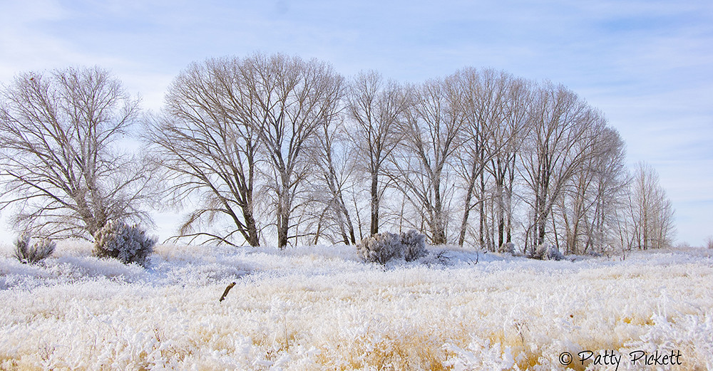 Mud Lake WMA Idaho Pattysphotos Flickr