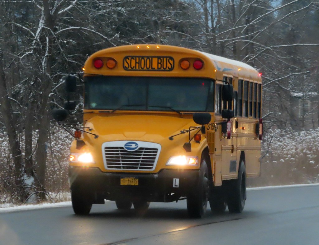 RavenaCoeymansSelkirk Central School District Flickr