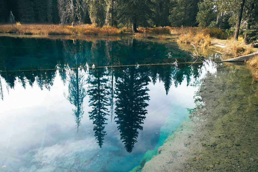 Blue Water Some of the bluest water I've ever seen. Felt l… Flickr
