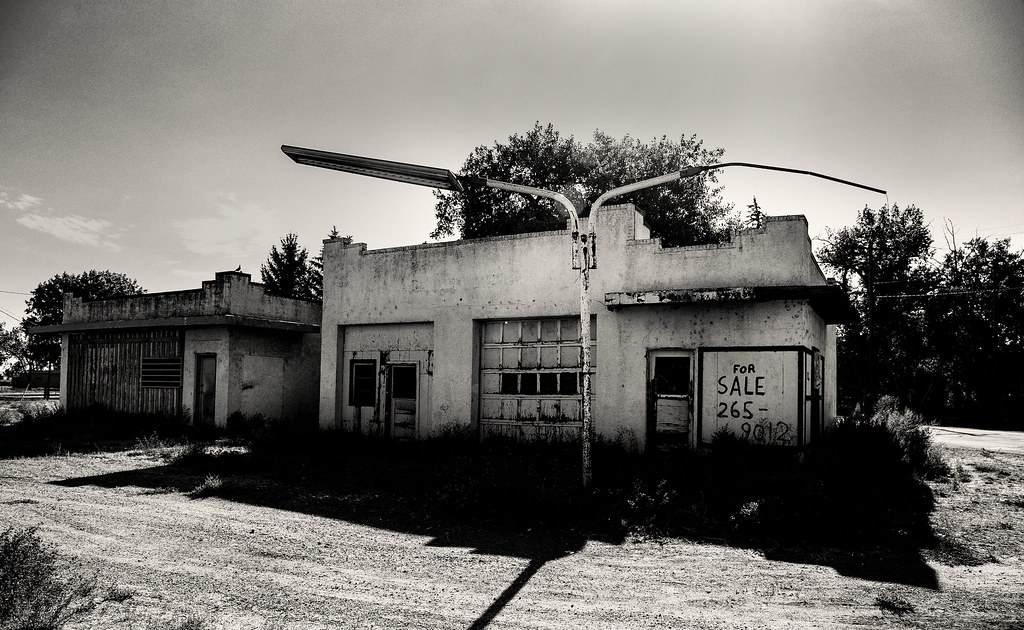 Box Elder For Sale? DEWTOO Flickr