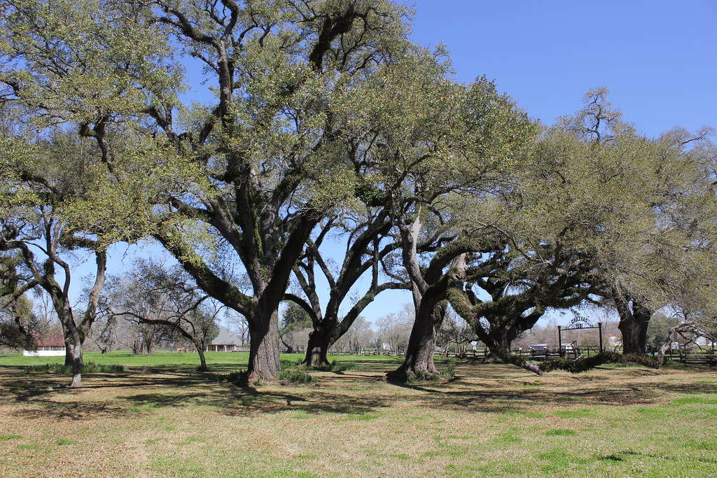 Oakland Plantation, Natchez, LA Nicolas Henderson Flickr