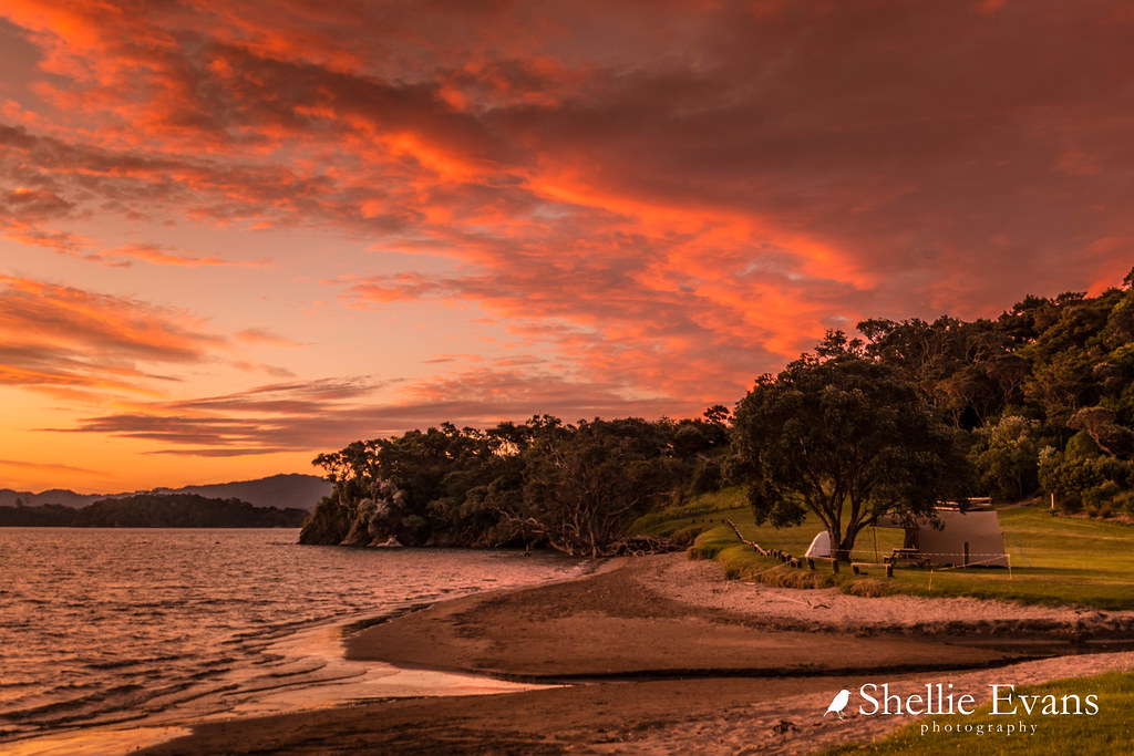 Sunset Puriri Bay, Whangaruru Harbour, Northland Blog Pos… Flickr