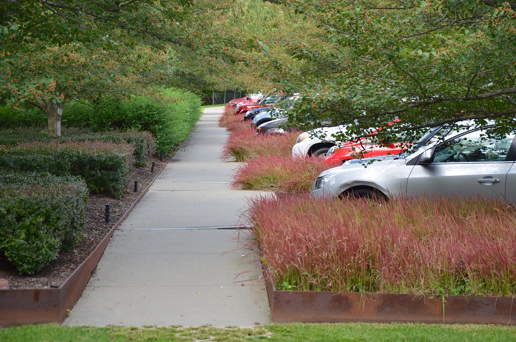 DiaBeacon Parking Lot Interspersed with pretty trees and … Flickr