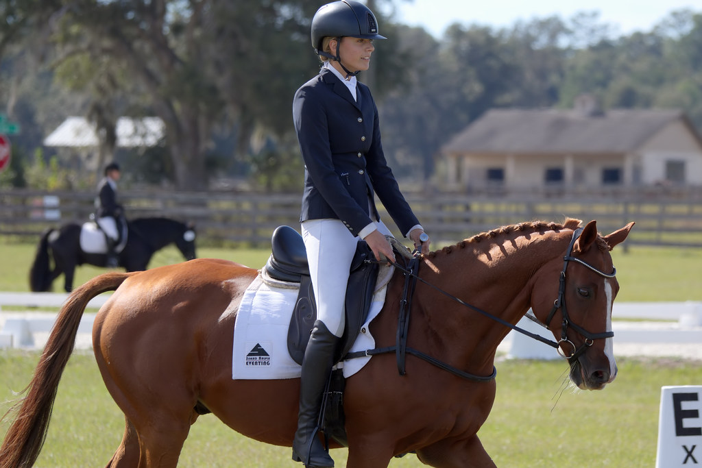 Rocking Horse Dressage Rocking Horse Stables, Altoona, Flo… Flickr