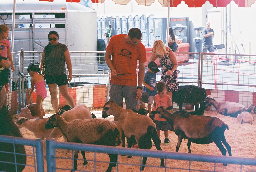 Street fair petting zoo a photo on Flickriver
