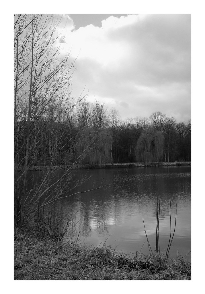 L'étang des Moines DavidB1977 Flickr