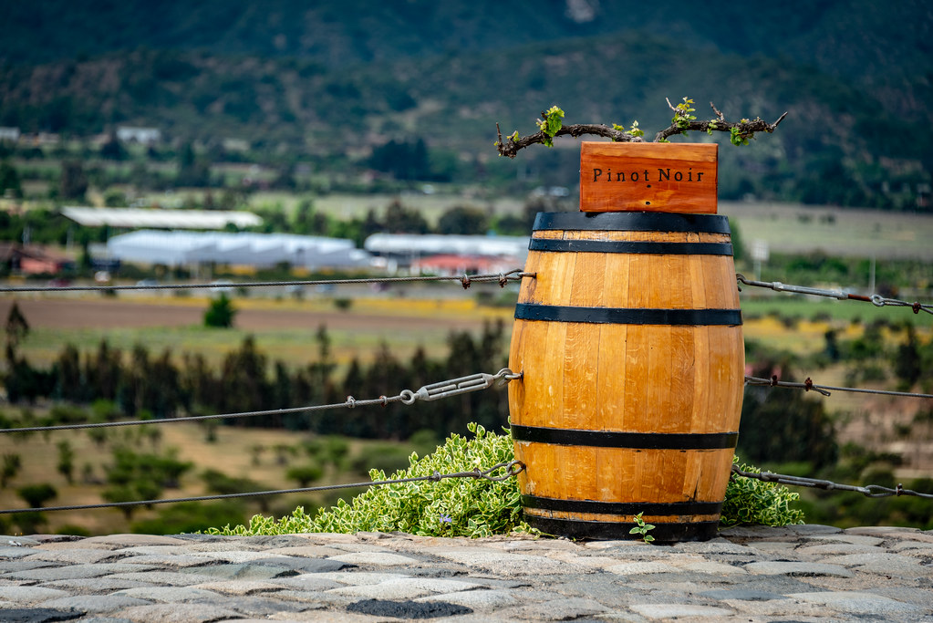 Valparaíso, Chile. Casablanca winery. MEADEN Flickr