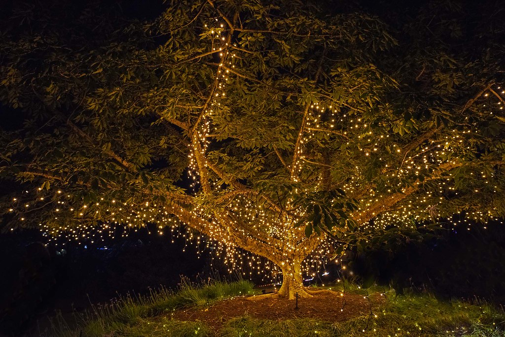Roma Street Parklands A few Christmas themed images for th… Flickr