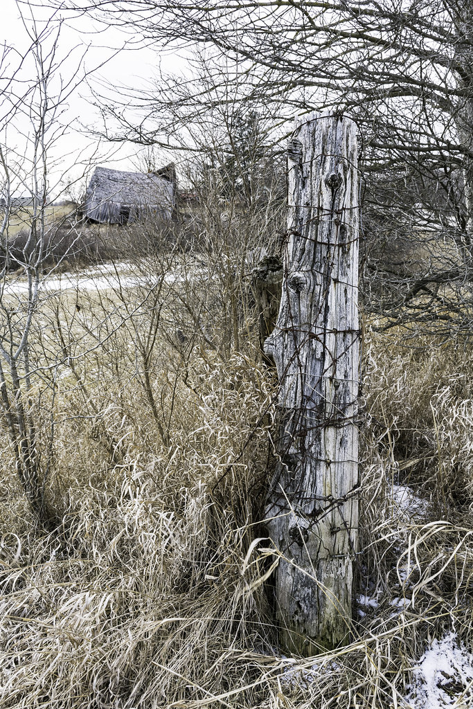 checking out the Amish countryside near Clare, Michigan Flickr