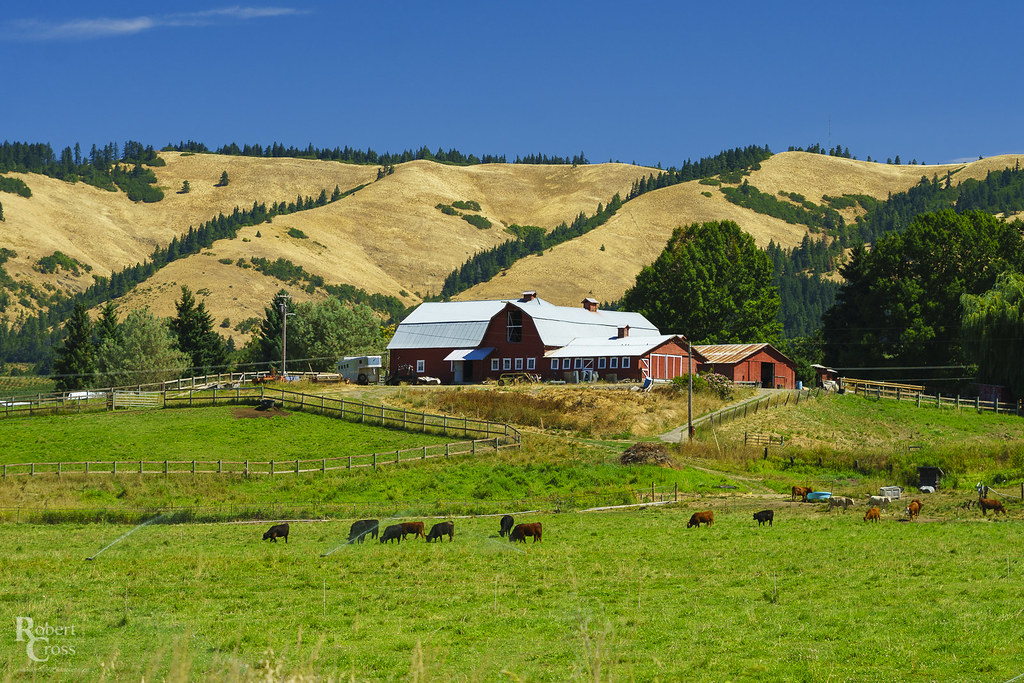 A Farm in Oregon A typical summertime scene on the east si… Flickr